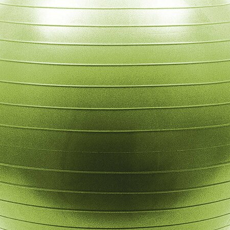 Lifeline Fitness Natural Fitness PRO Burst Resistant Exercise Ball FBREB65OL